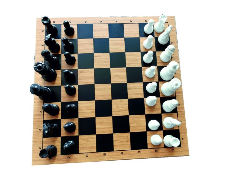 Manyetik satranç Takımı